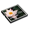 Kingston Compact Flash Kort - 8GB