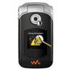 Sony Ericsson W300c Diagnose