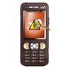 Sony Ericsson W890i Diagnose