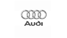 Audi monteringsbeslag