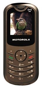 Motorola WX180 accessories