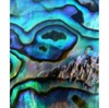 iPhone 3G, 3GS ZAGG Skin - Abalone