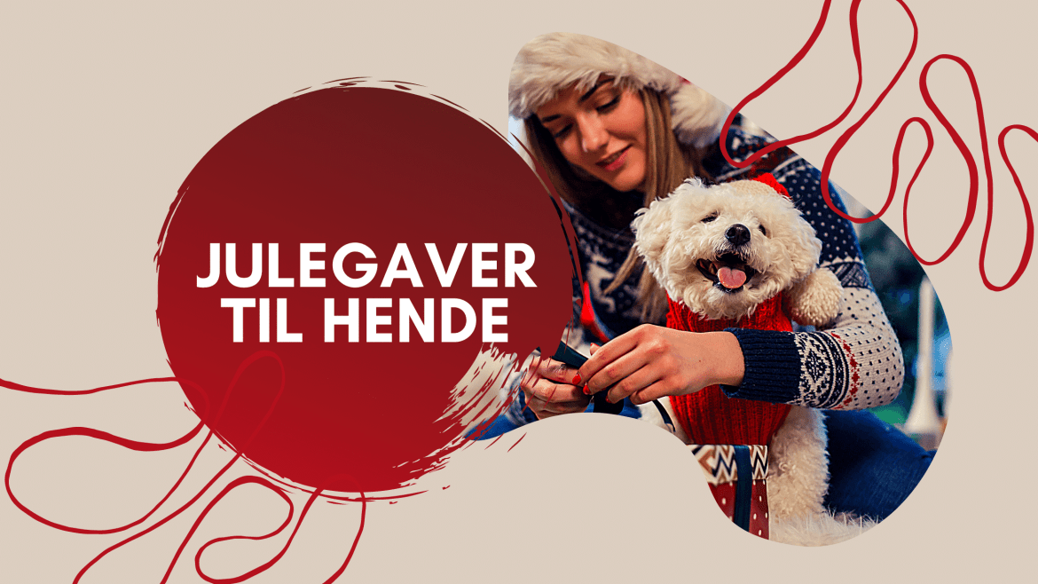 Top 10 julegaver til hende