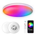 30W Smart LED loftlampe RGB/CCT med Bluetooth, stemmestyring