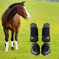 4-delt hestestøvle til sener og futter - størrelse L - sort