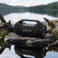 Acefast K14 bærbar karaokehøjttaler med to mikrofoner - 120W - sort