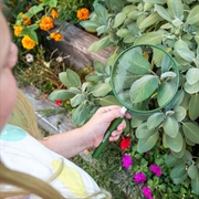 Carson HU-20 Big Eye 5" forstørrelsesglas - 2x