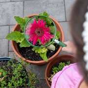 Carson HU-20 Big Eye 5" forstørrelsesglas - 2x