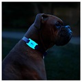 Case-Mate Hundehalsbånd Apple AirTag Silikone Cover - Selvlysende