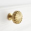 Flora møbelknop i messing - guld