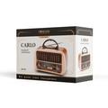 Forever CARLO JB-105 BT Electro FM-radio - 1200mAh batteri, fjernbetjening