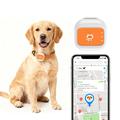 G01 Vandtæt smart GPS-tracker til kæledyr med 4G/WiFi - L