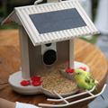 HiBirds Smart WiFi-fuglefoderautomat med kamera - lysebrun