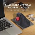 Jomaa JOM255 Ergonomisk trådløs trackball-mus - Sort