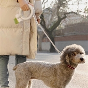 Moestar UFO indtrækkelig hundesnor med LED-lys - 3m