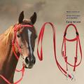 Nylon ridehalsbånd med snor - 1.3m - rød