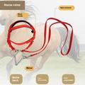 Nylon ridehalsbånd med snor - 1.3m - rød