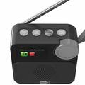 P2D bærbar DAB+-radio med Bluetooth 5.0 - 1.47" - sort