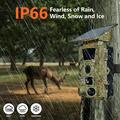 PR903W 5K WiFi-solcellekamera til vildtfotografering med PIR-bevægelsessensor - camouflage