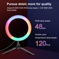 PULUZ 10" 26cm Marquee LED RGBWW Light + Desktop Tripod Mount 168 LED Dual-color Temperature Dimmable Ring Lights with Tripod & Remote Control & Phone Clamp