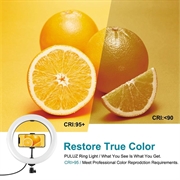 PULUZ PKT3066B 10.2" LED Selfie-ringlys til mobiltelefon Klemstativ Stativ til YouTube Blogger Videooptagelse