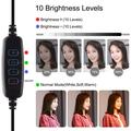 PULUZ PKT3066B 10.2" LED Selfie-ringlys til mobiltelefon Klemstativ Stativ til YouTube Blogger Videooptagelse