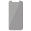 iPhone 11 / iPhone XR PanzerGlass Standard Fit Privacy Hærdet glas