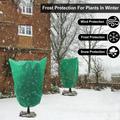 Frostbeskyttelse til planter / Åndbar nonwoven vinterbeskyttelse - 80x120cm - Grøn