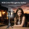 Q34 AI Anti-Shake Selfie-stang med gimbal-stabilisator og RGB-skønhedslys - Sort