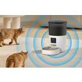Rojeco 3L Smart Wi-Fi Pet Feeder med kamera - 720p overvågning, tovejs lyd