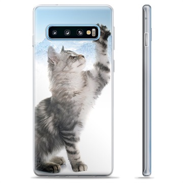 Samsung Galaxy S10+ TPU Cover - Kat