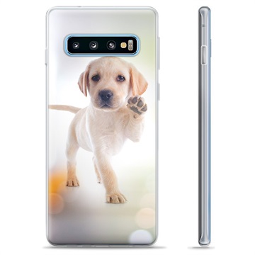 Samsung Galaxy S10+ TPU Cover - Hund