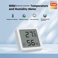 TH05 Smart Bluetooth-termometer og -hygrometer - temperatur- og fugtighedssensor med LCD-display