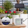 WD-01GD Smart vandingssystem til solcelleanlæg - dobbeltpumpe, timer, justerbare dryp-pile