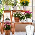 WD-01GDE WiFi-styret smart dobbeltpumpe til automatisk vanding af planter - hvid