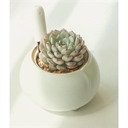 Xiaomi Mi blomsterplejesensor - hvid