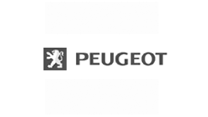 Peugeot monteringsbeslag