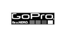 GoPro kameraoplader