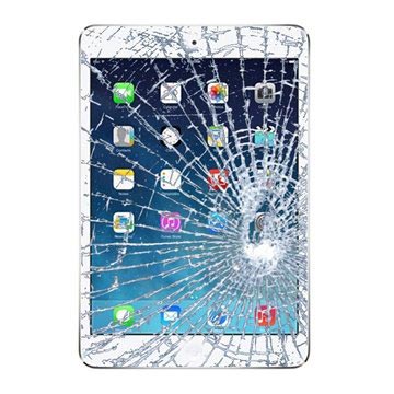 iPad mini 2 Display Glas & Touch Screen Reparation