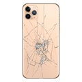 iPhone 11 Pro Max Bagcover Reparation - kun glasset - Guld