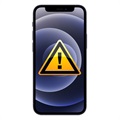 iPhone 12 mini Kamera Linse Glas Reparation