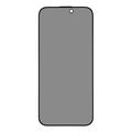 iPhone 17 Pro Privacy Skærmbeskyttelse Hærdet Glas med installationsværktøj - 9H - sort kant