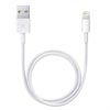 Apple Lightning / USB Kabel ME291ZM/A - Hvid - 0.5m