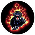 PopSockets Ekspanderende Stander & Greb - Panther Flames